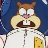 chat with ai character: Sandy Cheeks 