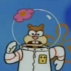 chat with ai character: Sandy Cheeks 