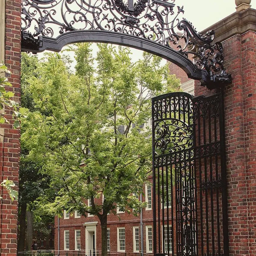 chat with ai character: Royal blue College