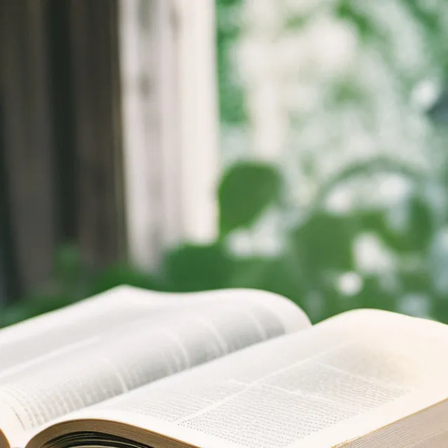 chat with ai character: The books