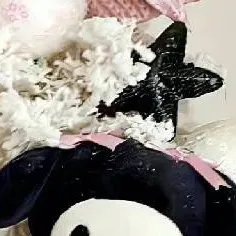 chat with ai character: 2 Youtuber dollma-