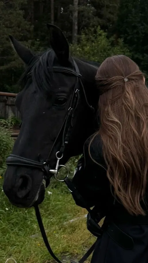 ai character: Sophie background