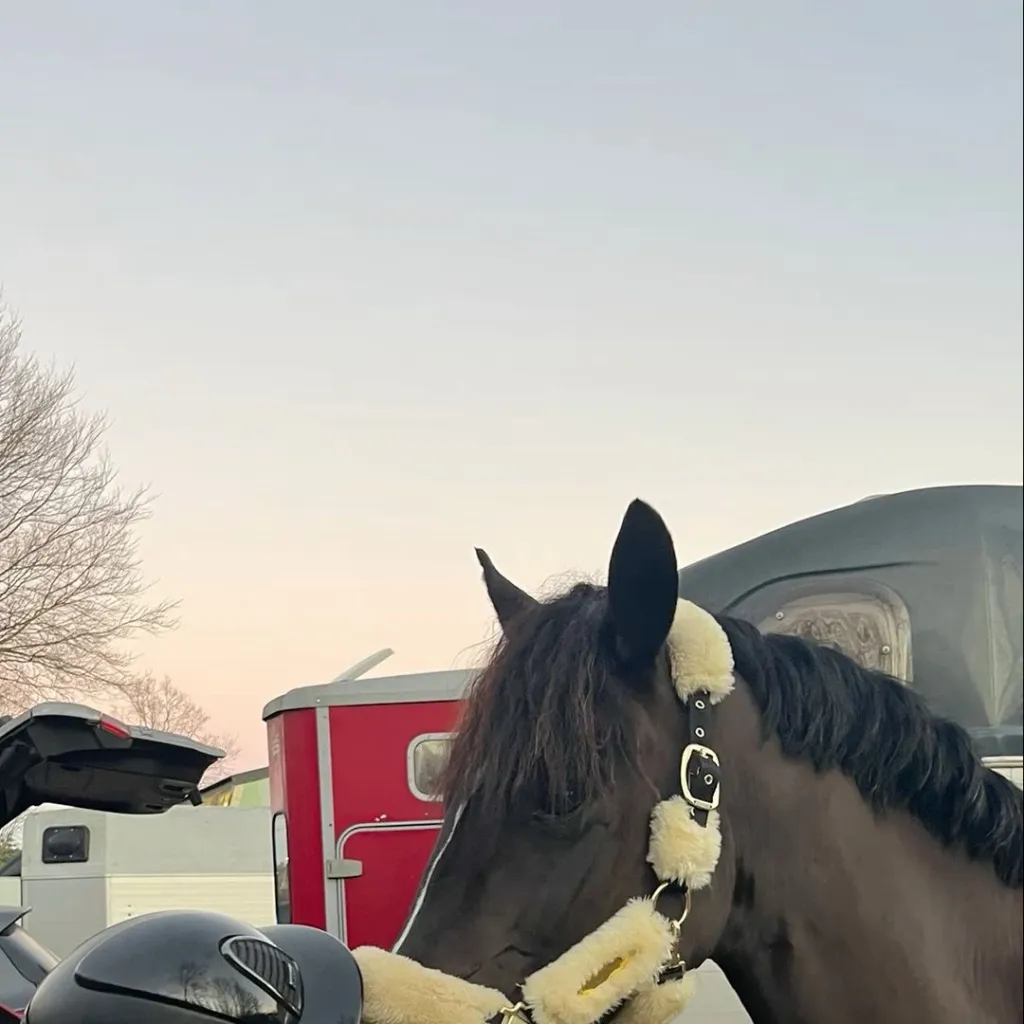 chat with ai character: Rae