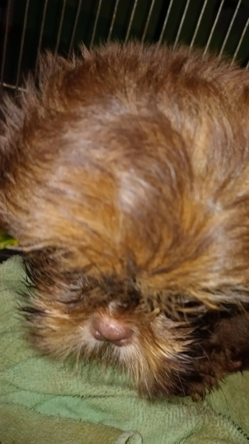 ai character: pick me ramoss background