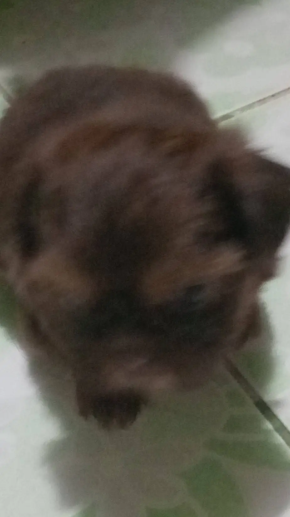 ai character: pick me background