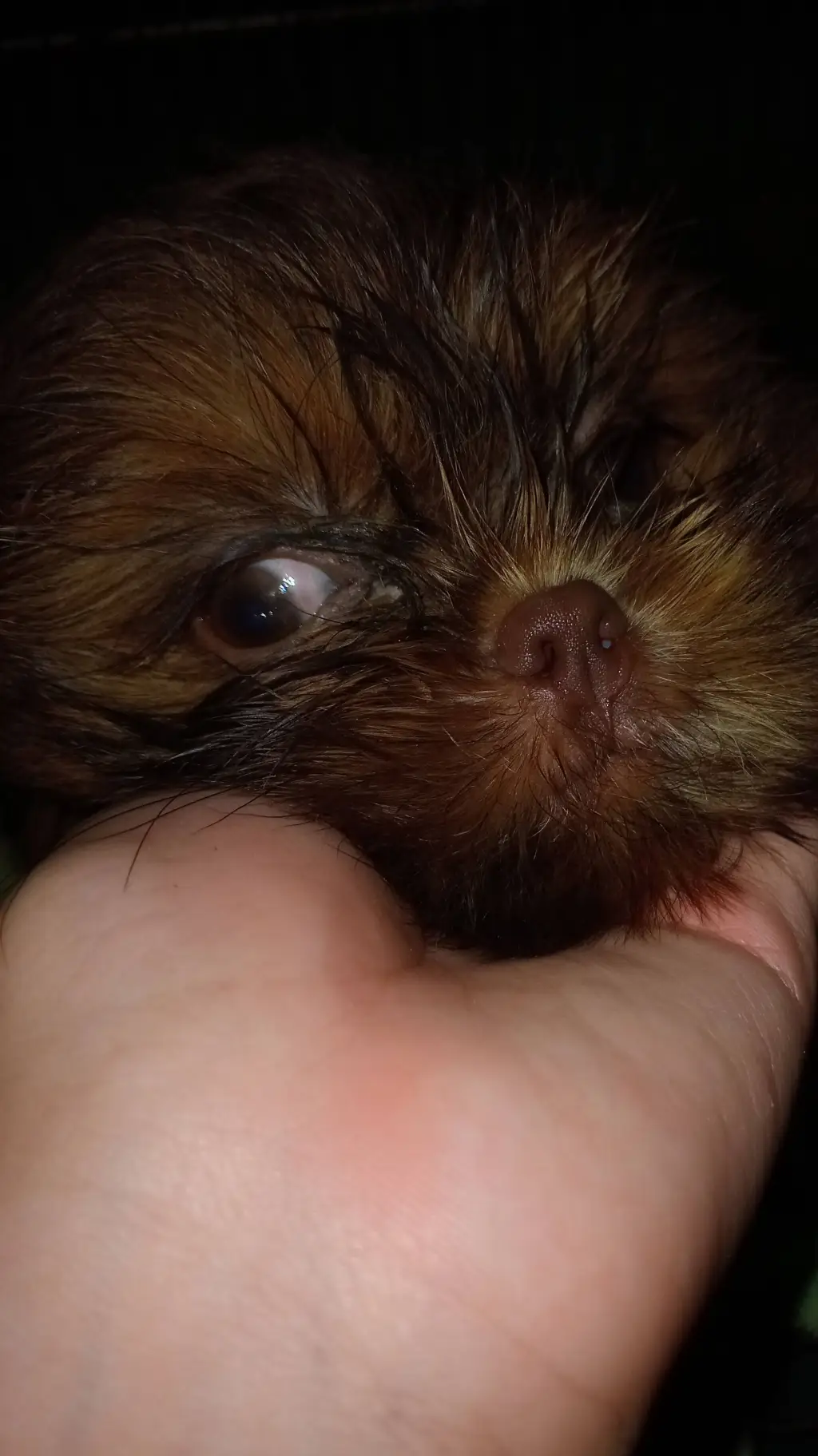 ai character: pnk meets 6 pm background