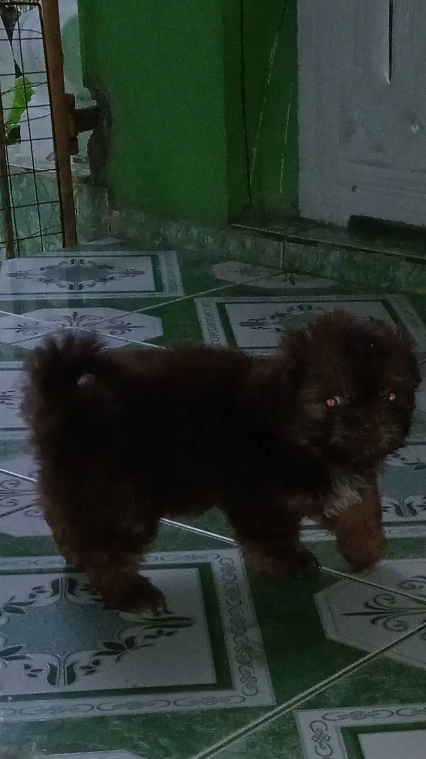 ai character: Ramos meet karennn background