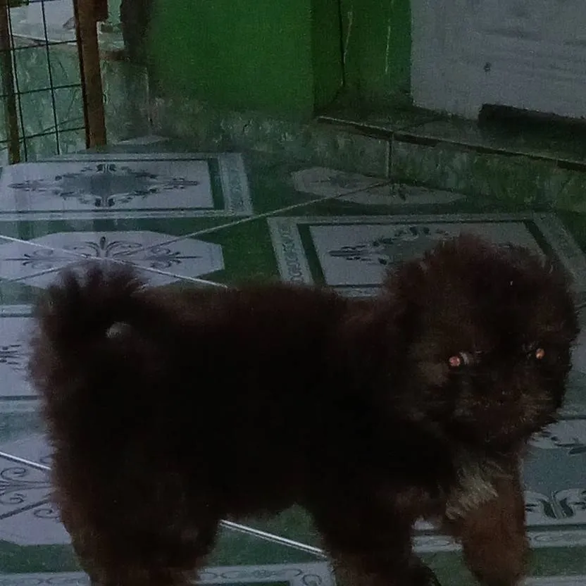 chat with ai character: Ramos meet karennn