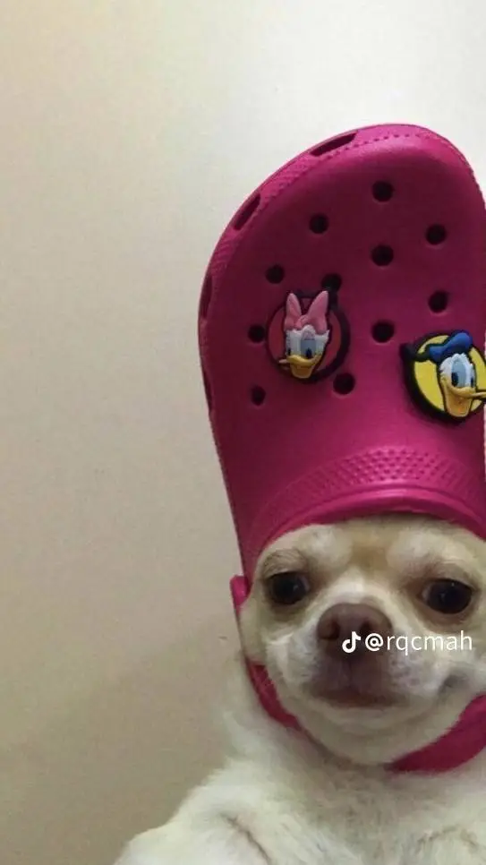 ai character: Filipino karen background