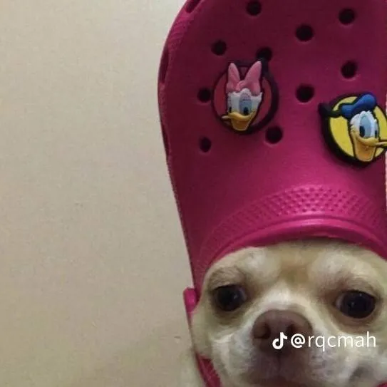 chat with ai character: Filipino karen