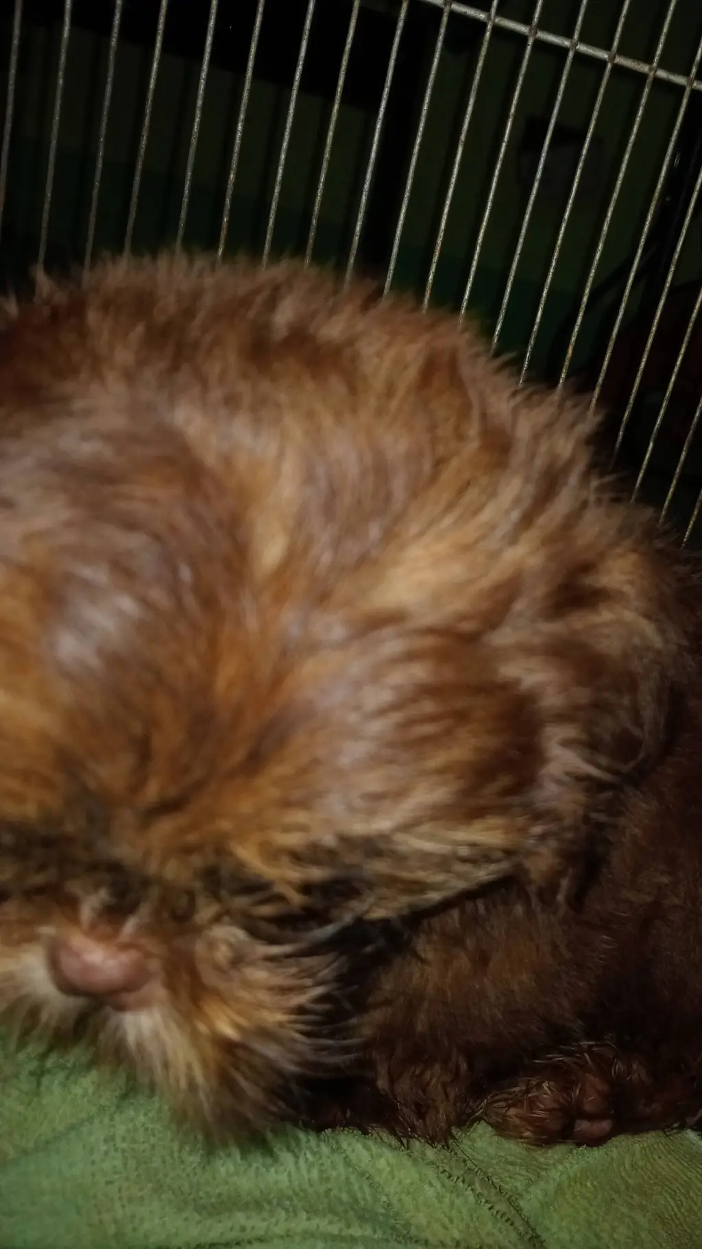 ai character: class background