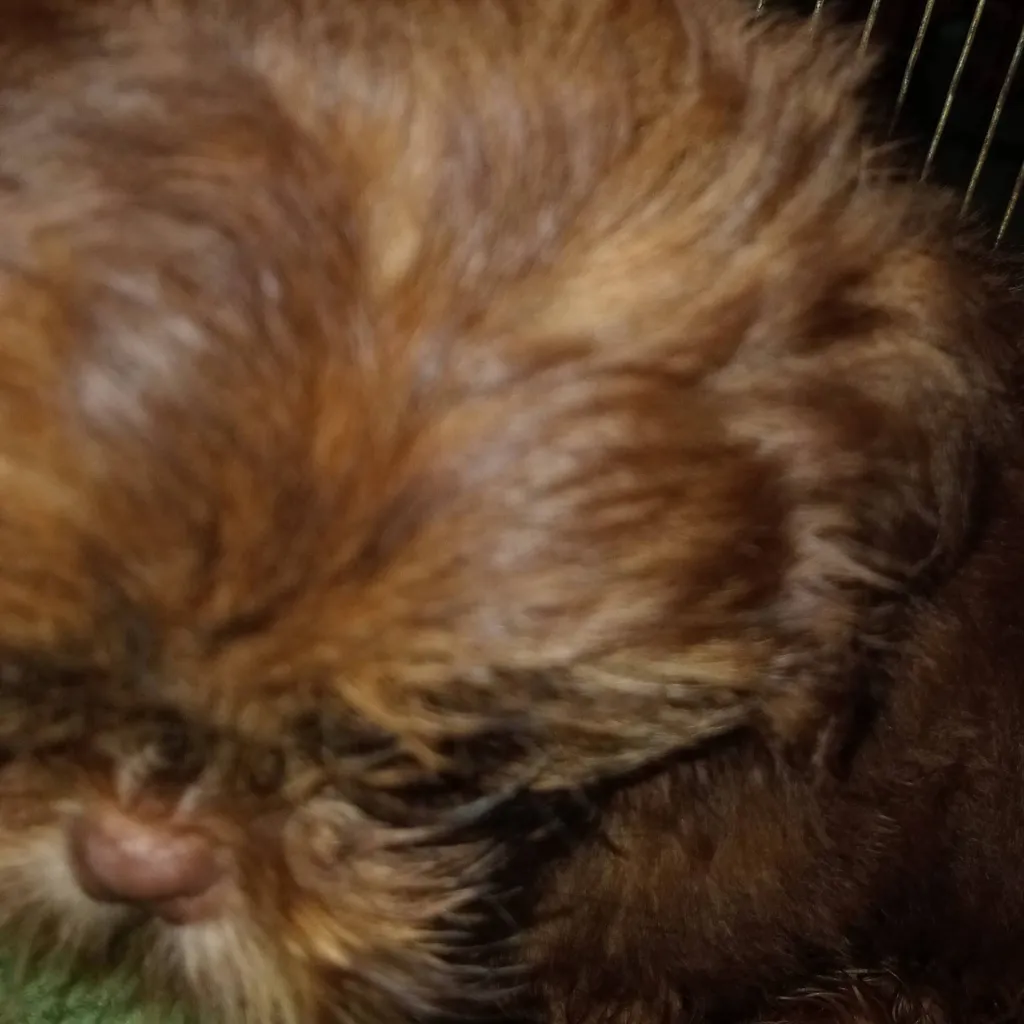 chat with ai character: class