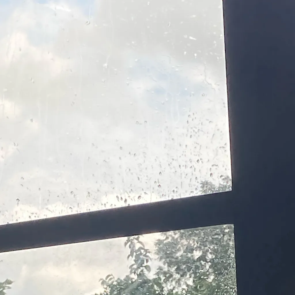 chat with ai character: Brock😉😉