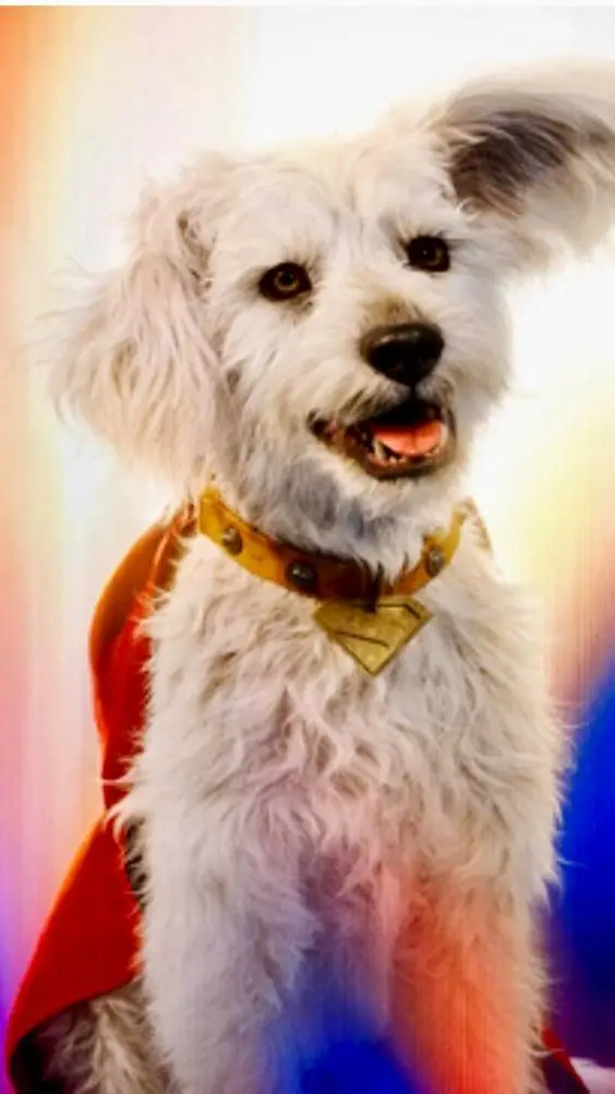 ai character: Krypto background