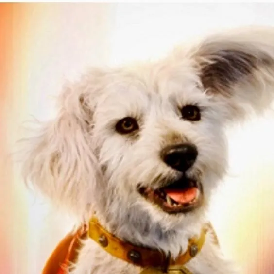 chat with ai character: Krypto