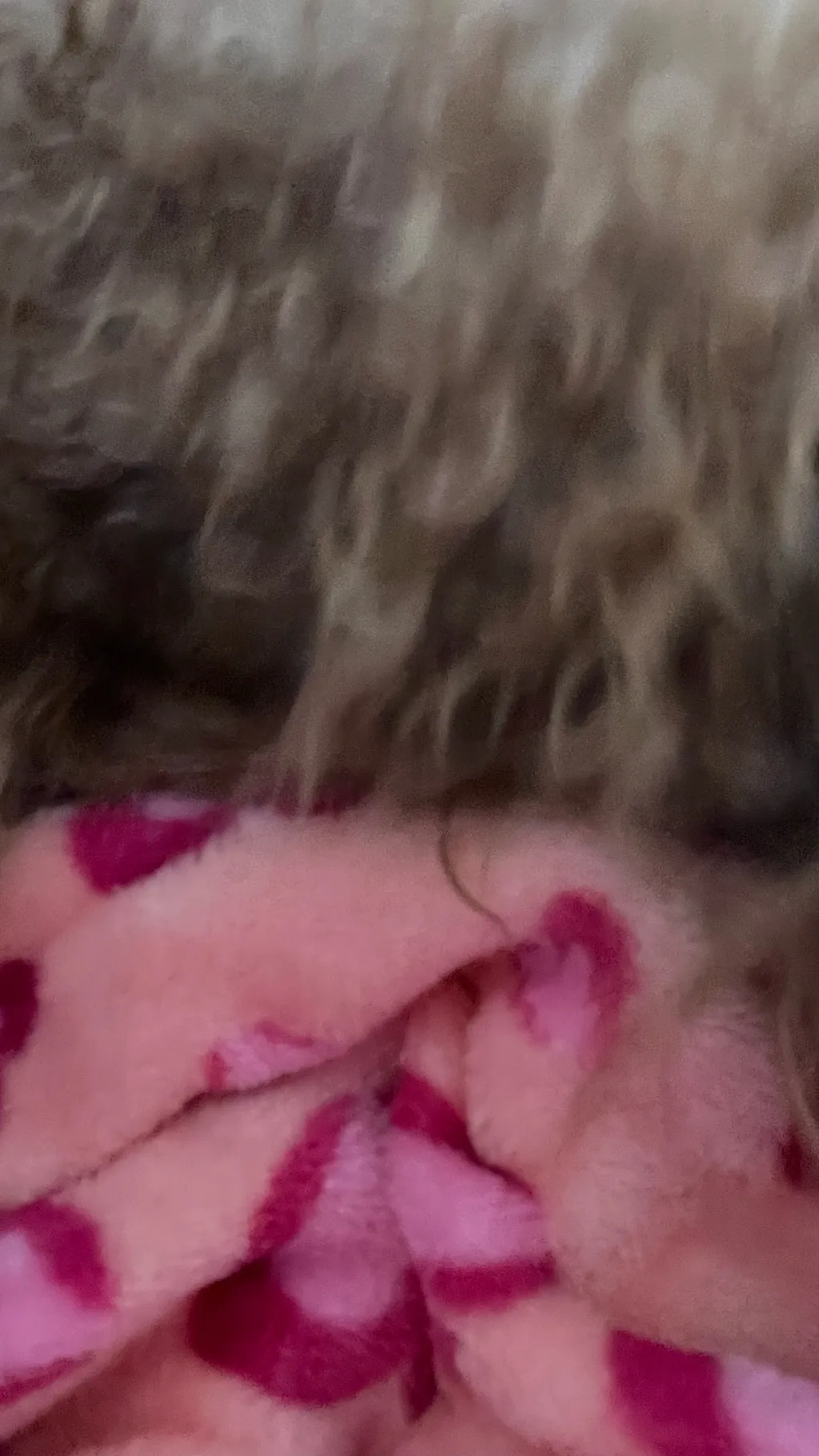 ai character: ￼ sleep, hypnotis background