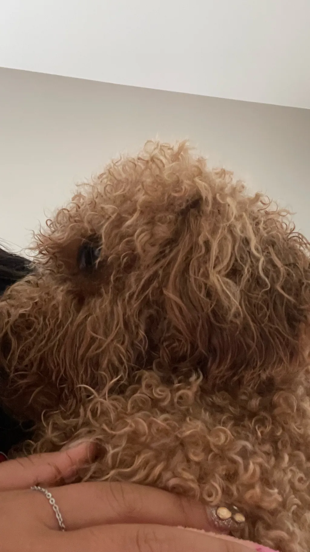 ai character: ai background