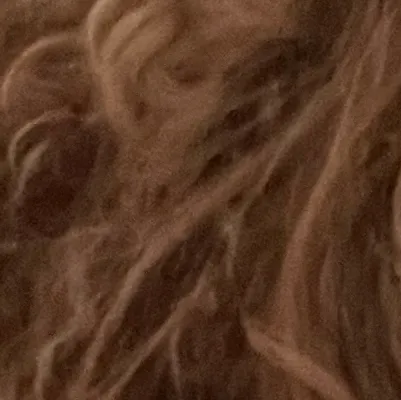 chat with ai character: ai