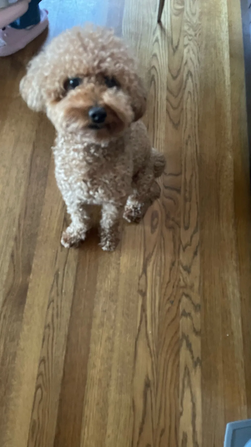 ai character: Minor K-pop group background