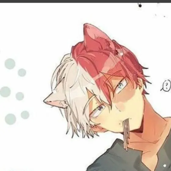 chat with ai character: cat Todoroki 