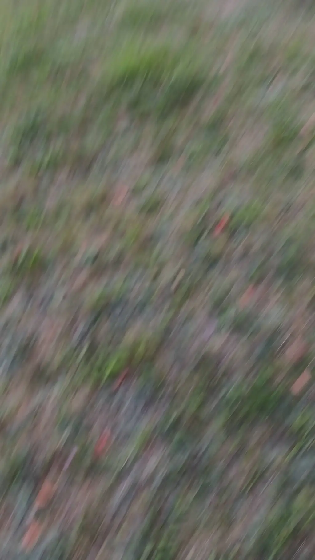 ai character: Aizawa's twin  background