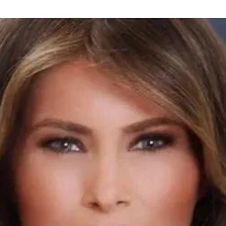 chat with ai character: Melania android 