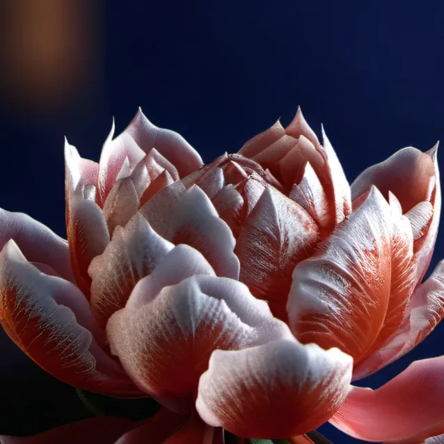 chat with ai character: USSR 