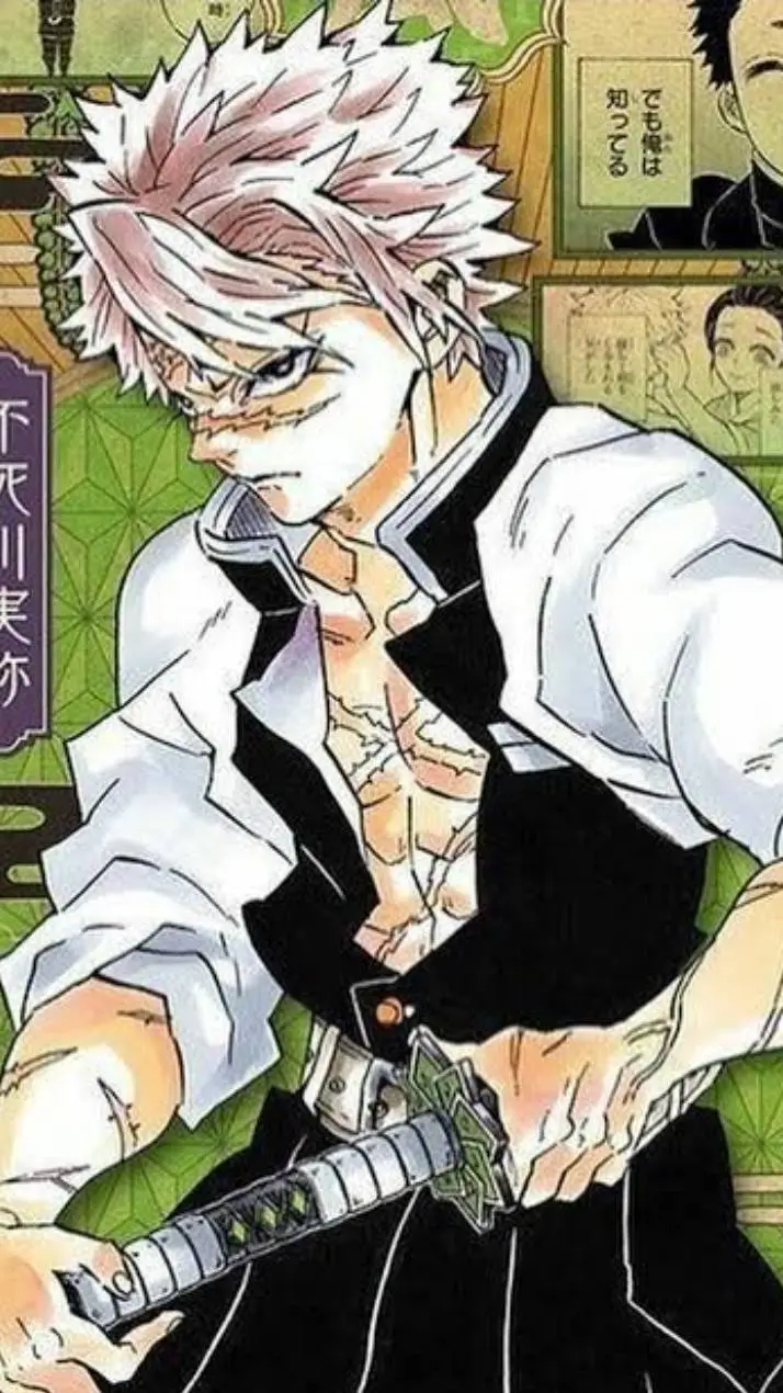 ai character: sanemi shinazugawa background