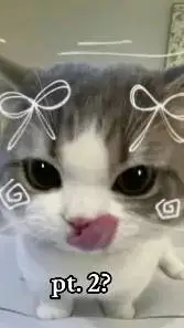 ai character: ғᴏʀsᴀᴋᴇɴ ᴍᴀғɪᴏsᴏ~ background