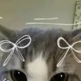 chat with ai character: ғᴏʀsᴀᴋᴇɴ ᴍᴀғɪᴏsᴏ~