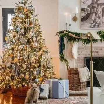 chat with ai character: Family Christmas