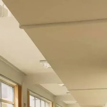 chat with ai character: School