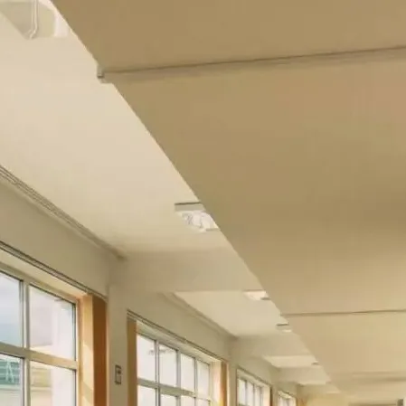 chat with ai character: Kpop school