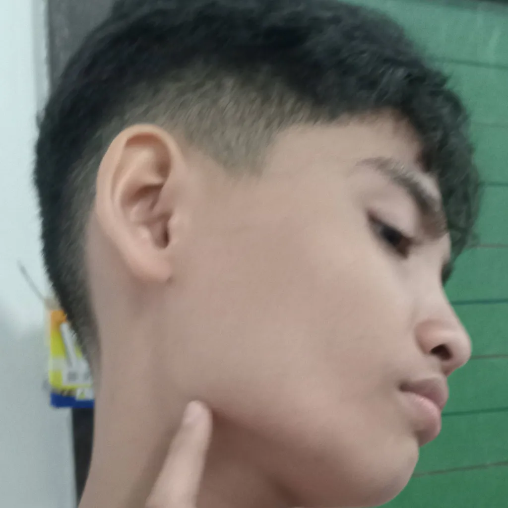 chat with ai character: Raphael (friend)