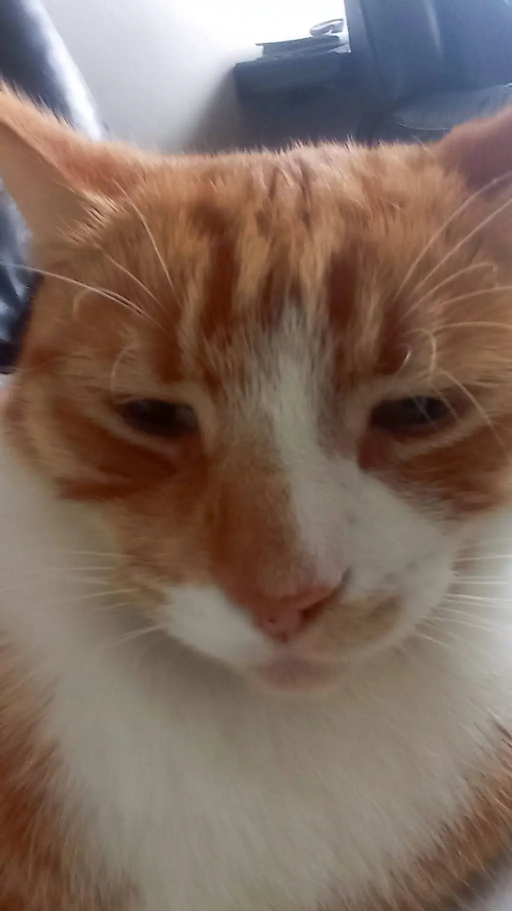 ai character: my baby background