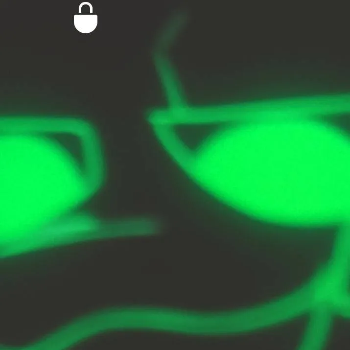 chat with ai character: dyle