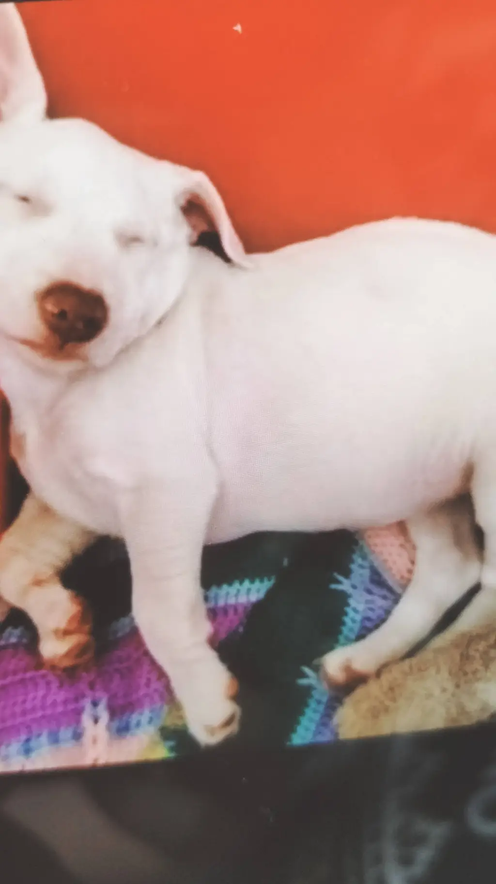 ai character: tentacles background