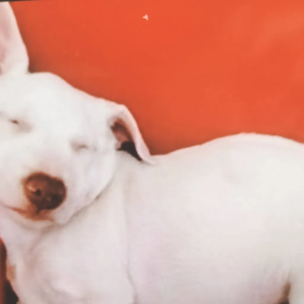 chat with ai character: tentacles