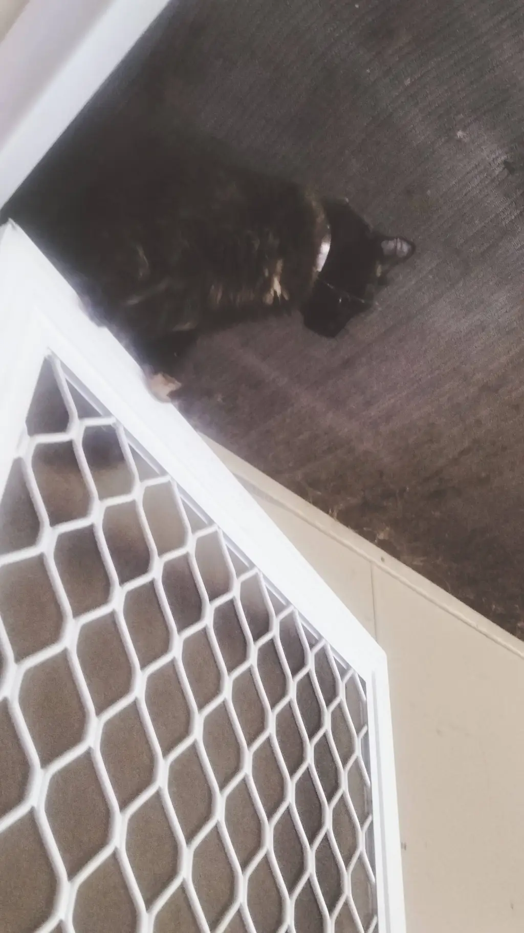 ai character: jftff background