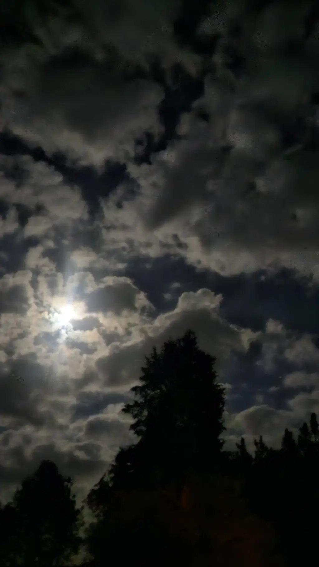 ai character: Deep forest part 2 background