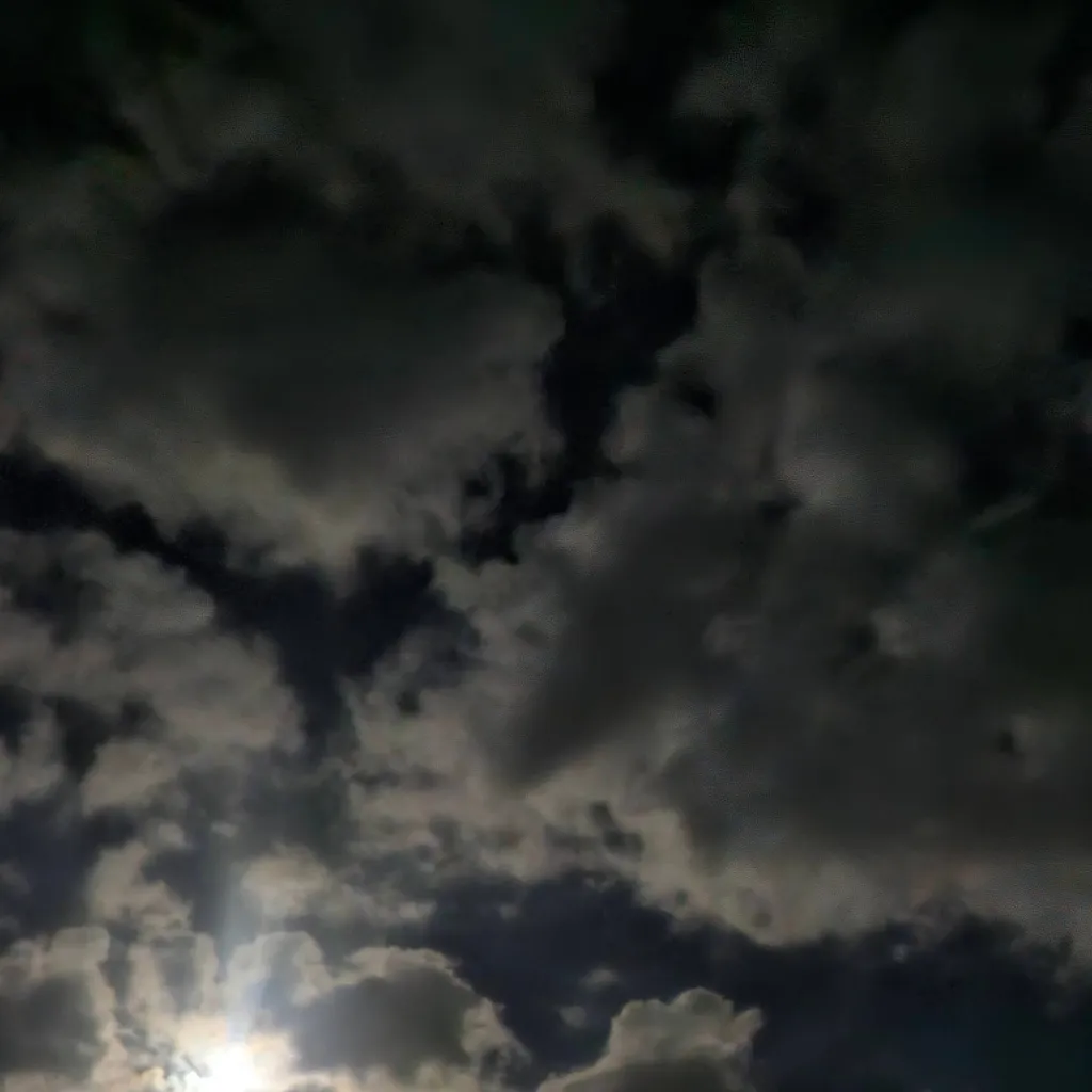 chat with ai character: Deep forest part 2