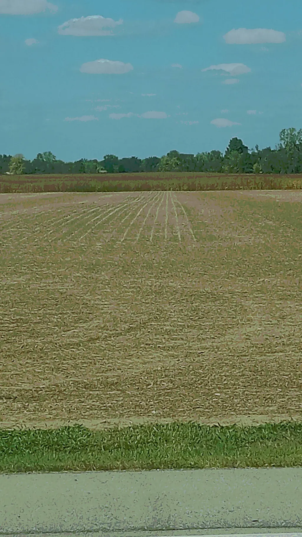 ai character: Specters control!! background