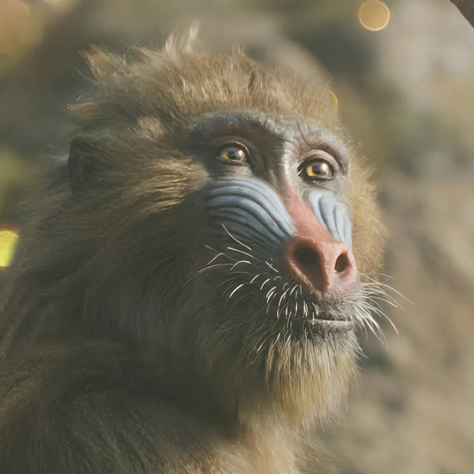 chat with ai character: Rafiki (Young)