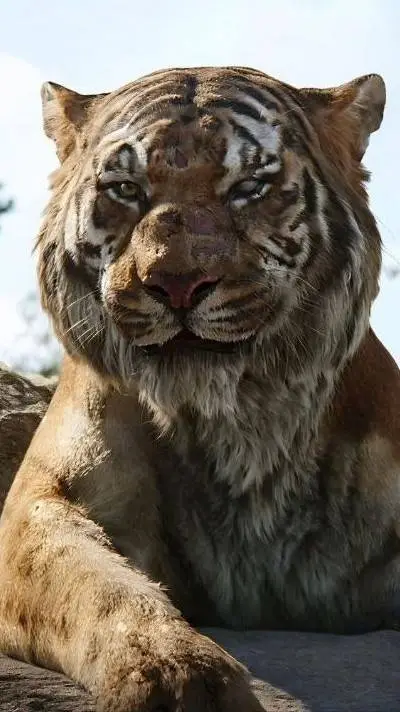 Talkie AI - Chat with Shere Khan 