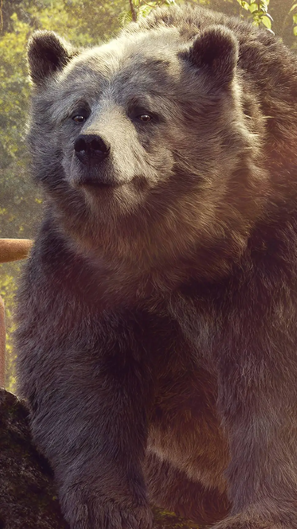 ai character: Baloo background