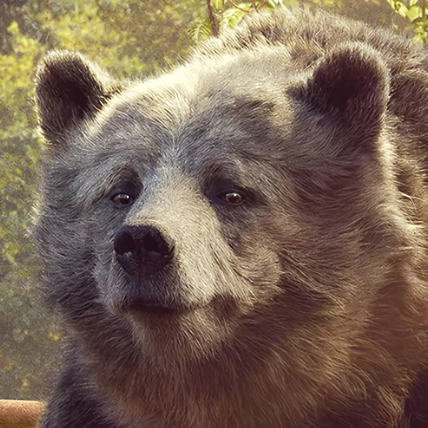chat with ai character: Baloo