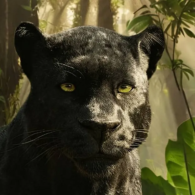 chat with ai character: Bagheera 