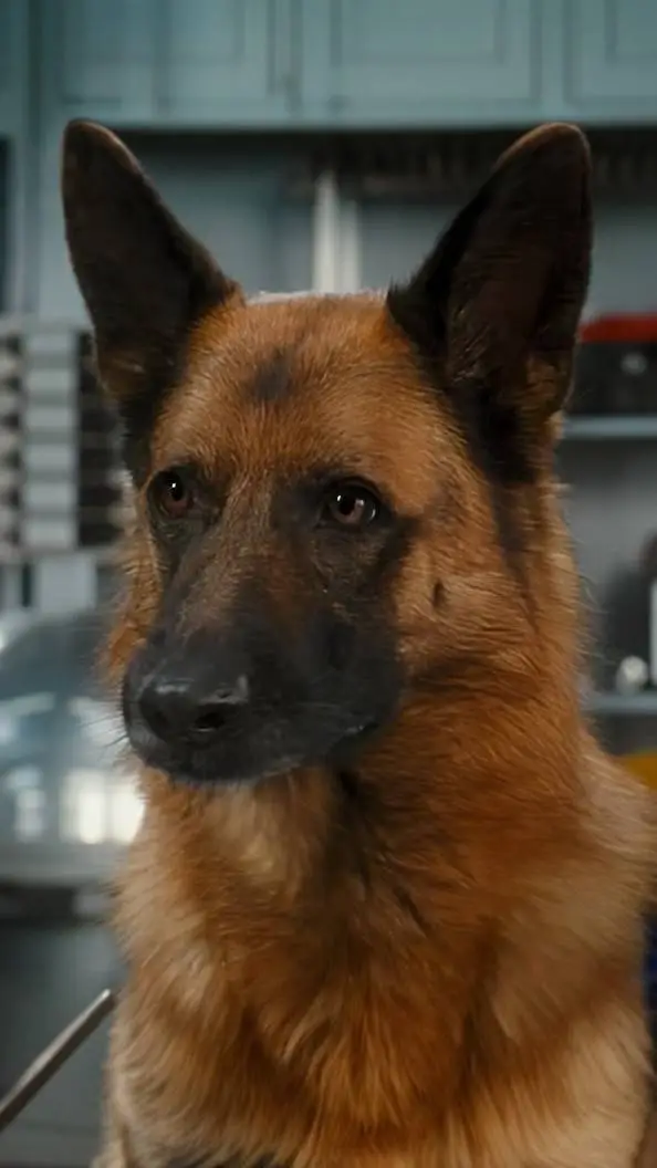 Talkie AI - Chat with Diggs