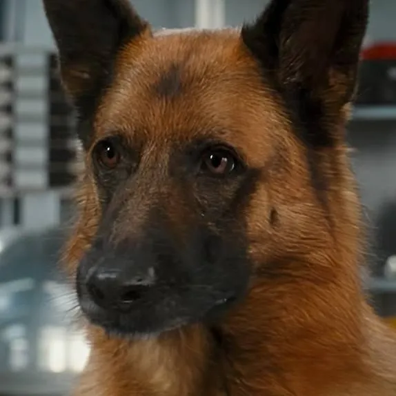 chat with ai character: Diggs