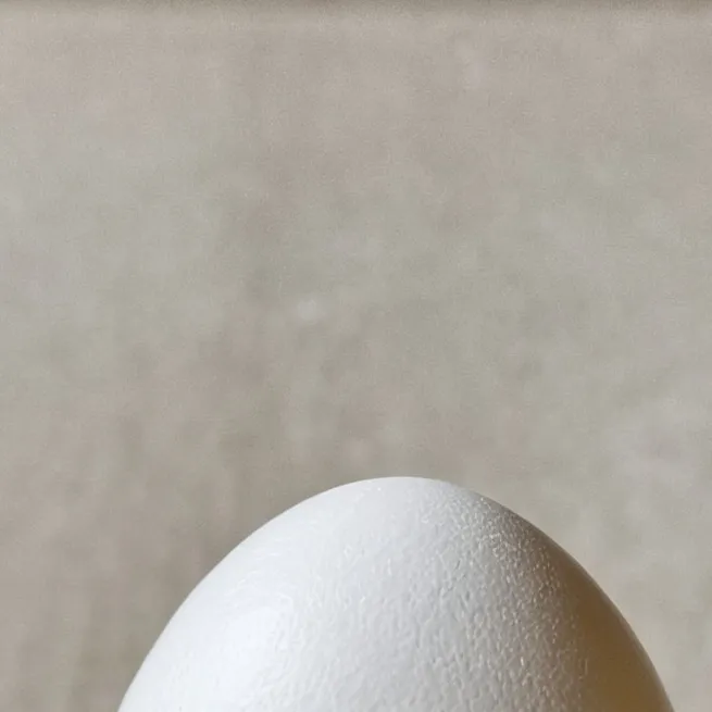 chat with ai character: Egg